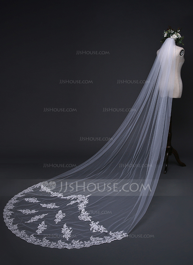 One-tier Lace Edge Tulle Cathedral Veils Appliques AV18001