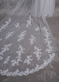 Two-tier Lace Edge Tulle Cathedral Veils Appliques CV0231